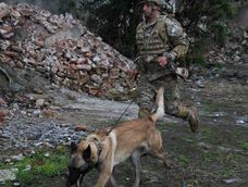 Un suboficial de Tunuyán viajará a Venezuela junto a su perro rescatista para colaborar tras el terremoto.