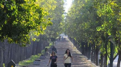Ascenso de la temperatura y agradable: este es el pronóstico del tiempo para el jueves en Mendoza
