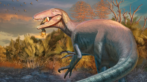Reconstrucción del recién descubierto megaraptor&nbsp;Joaquinraptor casali&nbsp;de Argentina con un brazo de cocodrilo del Cretácico en la boca.