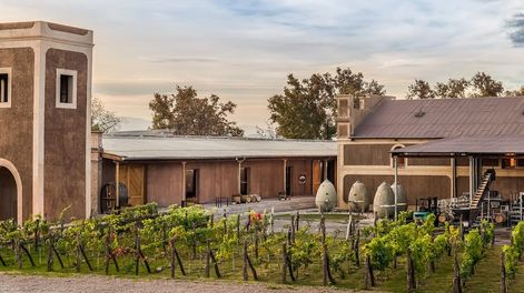 Bodega Los Toneles ofrece empleo en Mendoza.