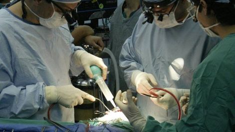 Sociedades científicas argentinas se expresaron en favor de sostener el sistema tradicional de residencias médicas