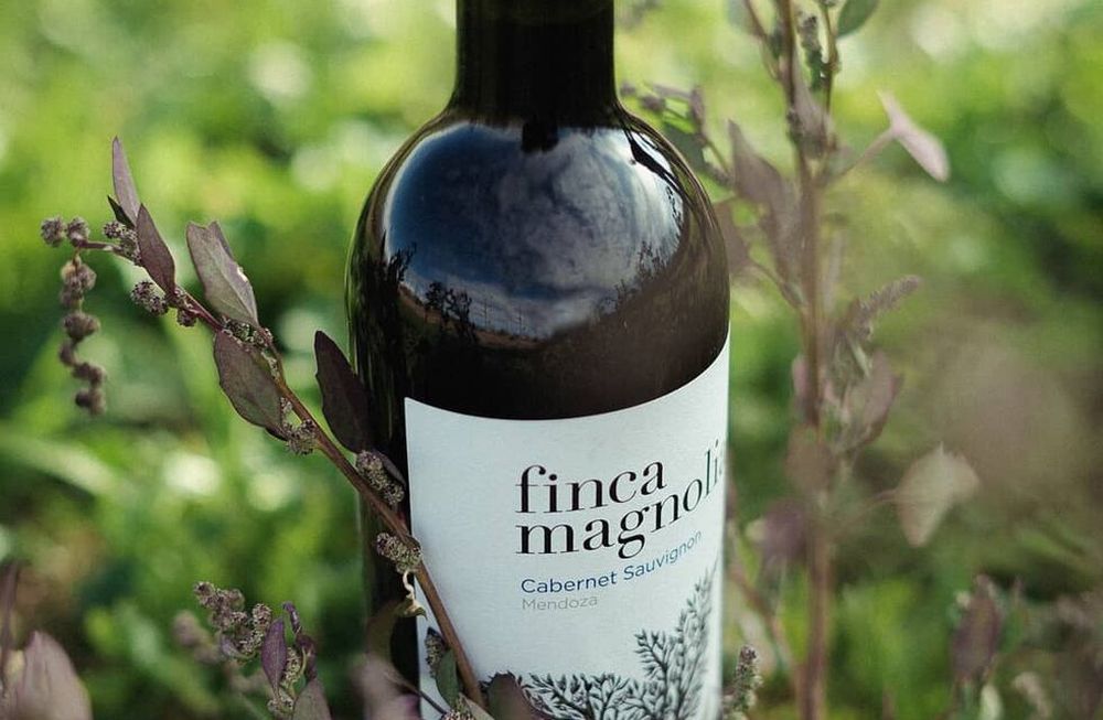 Los vinos de Finca Magnolia, para disfrutar en la Feria de Guarda14