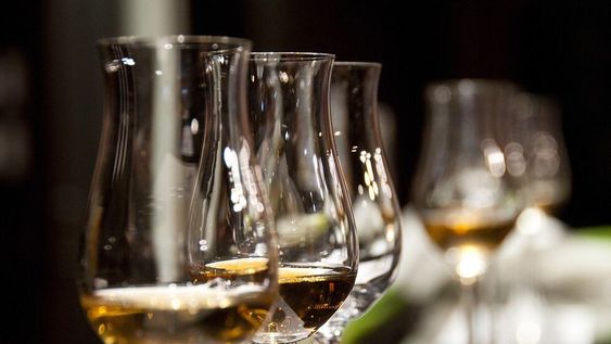 In.Pulso de Vino, el nuevo concepto de mega degustación en Mendoza