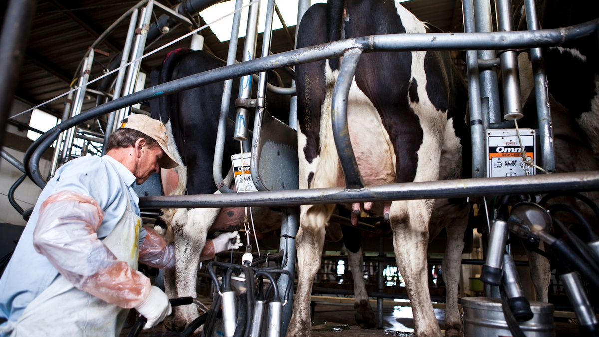 La actividad económica marcó un crecimiento en enero: cuáles fueron los sectores que impulsaron la suba