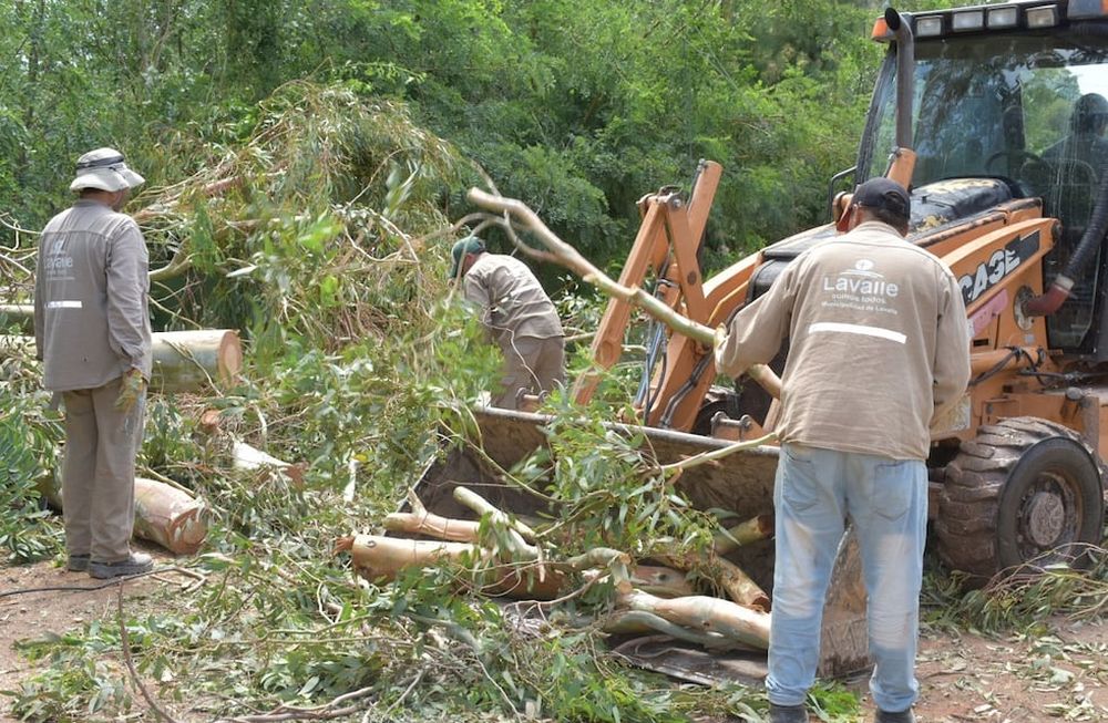 Daños y trabajos en Lavalle tras la fuerte tormenta de granizo (Prensa Municipalidad de Lavalle)