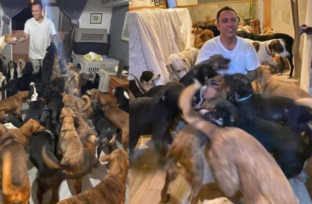 Ricardo Pimentel decidió preparar las instalaciones del refugio Tierra de animales para protegerlos del temporal que estaba a punto de azotar la región