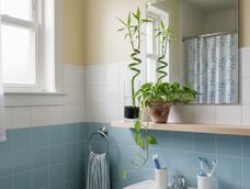Esta planta en el baño es una herramienta energética para el equilibrio y la protección.