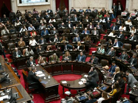 El debate por la prórroga de la emergencia nacional en discapacidad tendrá modificaciones en la cámara de diputados.