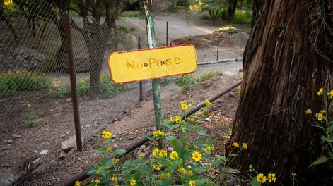 Los Andes | Muchos recintos han quedado vacíos tras la derivación a reservas o mediante el plan de adopción responsable. Mientras, entrenan a elefantas para que viajen. Foto: Ignacio Blanco / Los Andes