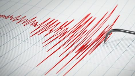 Un intenso temblor fue percibido en Mendoza.