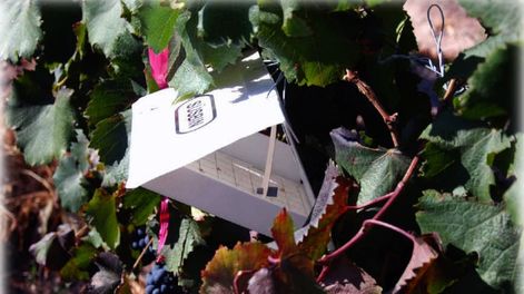 La única posverdad es la realidad