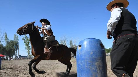 Los integrantes de la comisión acordaron solicitar a la comisión específica de derecho animal del Colegio de Abogados. Foto José Gutiérrez