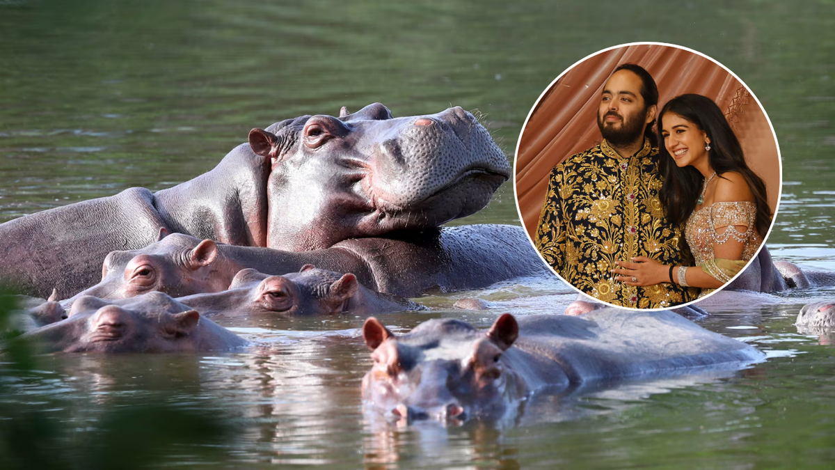 El hijo del hombre más rico de Asia se ofreció a salvar a los 