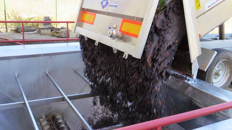 Piden una reducción de la tarifa eléctrica en los meses de elaboración para bodegas del Este