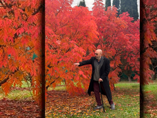 Apareció una fotografía reciente del Indio Solari y generó una ola de emoción. Apareció una fotografía reciente del Indio Solari y generó una ola de emoción.