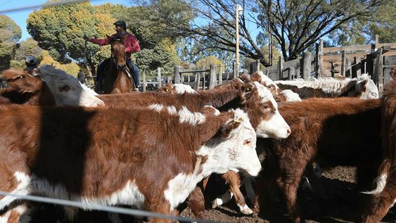 También influye la situación económica del país: un 62% de los encuestados consideró que podría desmejorar dentro de un año.Foto: Ignacio Blanco / Los Andes