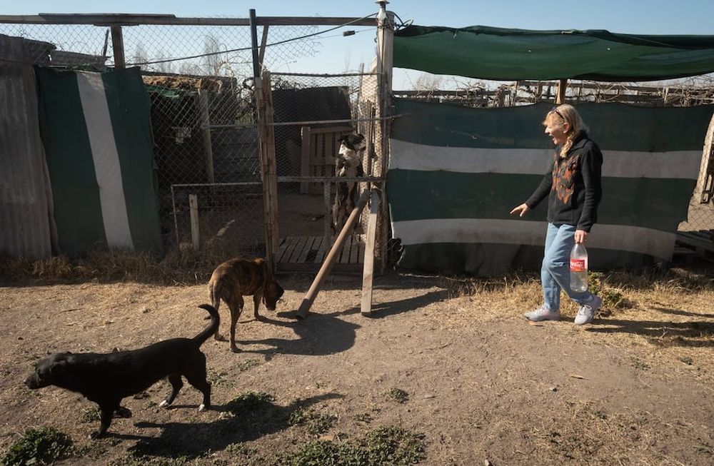 El refugio Rousi tiene perros abandonados en su refugio que alquila y necesita ayuda para poder seguir manteniéndolos.  Foto: Ignacio Blanco / Los Andes