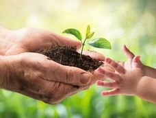 Este 5 de junio se conmemora el Día Mundial del Medio Ambiente.