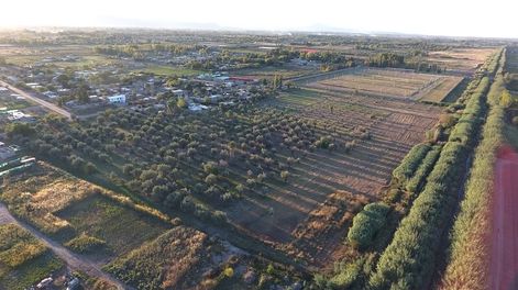 El barrio que nace entre olivos y apuesta a la sostenibilidad extrema