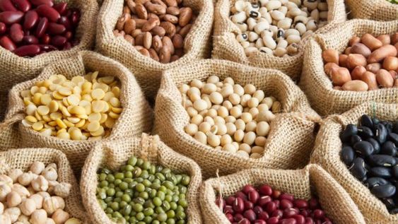 Fin de la discusión: ¿La proteína vegetal puede reemplazar a la proteína animal?