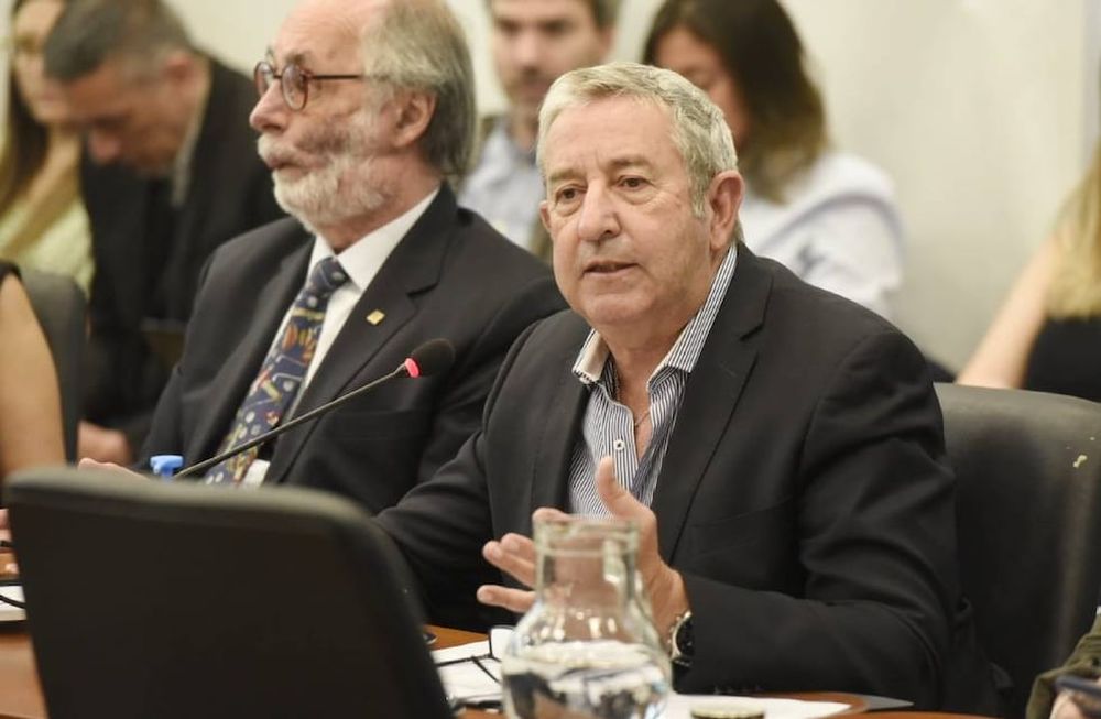 Julio Cobos, autor de uno de los proyectos sobre registro único de deudores alimentarios (Foto: HCDN)