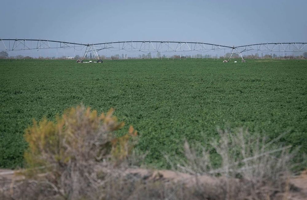 Esta permitiendo el desarrollo de zonas donde antes no era pensado este desarrollo. Foto: Ignacio Blanco / Los Andes
