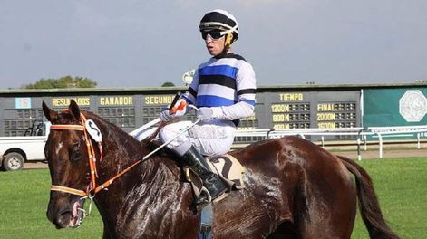 Turf: en la recta final