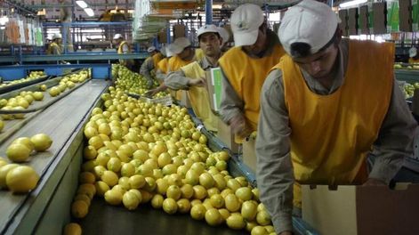 Cuáles son los agroalimentos que más aumentaron entre el campo y la góndola en junio, según revela un estudio de la CAME