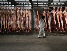 Sigue creciendo el precio de carne vacuna