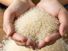 El Feng Shui indica que rincón de la casa es el mejor para colocar este tazón de arroz. El Feng Shui indica que rincón de la casa es el mejor para colocar este tazón de arroz.