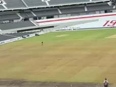 Césped de River: por qué el Monumental no luce bien tras los shows de AC/DC. Césped de River: por qué el Monumental no luce bien tras los shows de AC/DC.