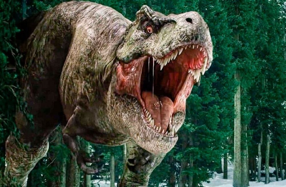 Conocé a Meraxes Gigas, el dinosaurio carnívoro gigante encontrado en Neuquén