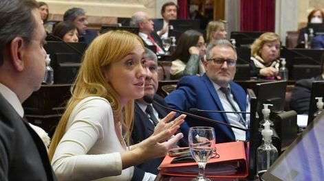 Anabel Fernández Sagasti, senadora mendocina. Foto: Corresponsalía