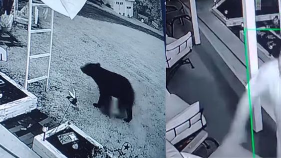 John Swartz recibió una vacuna contra el tétanos y tratamiento por la mordedura. En adición, los galenos le informaron que solo se trató de una herida superficial. Foto: Captura Facebook / Lori N John Swartz