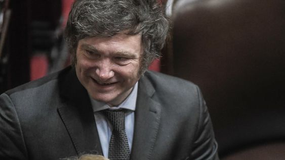 Javier Milei al ser proclamado como presidente electo en la Asamblea Legislativa (Foto: Federico López Claro)