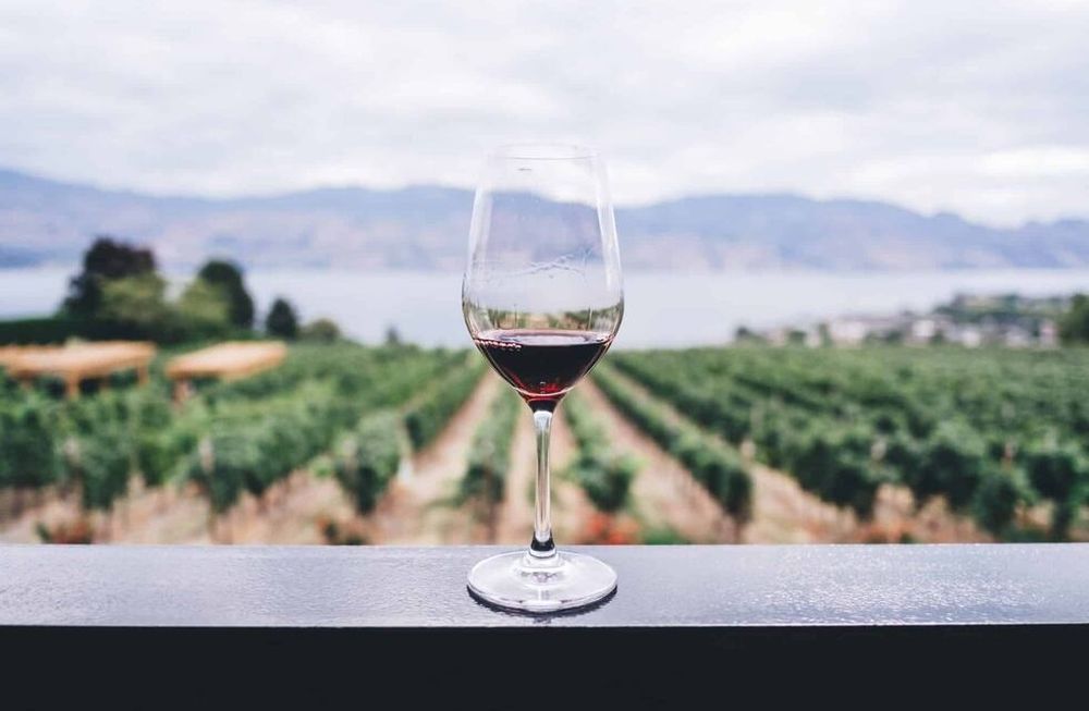 Los vinos de otras regiones vinícolas de Italia