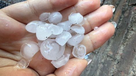 La caída de granizo sorprendió en varias zonas de Mendoza y en Rodeo de la Cruz fue de pequeño tamaño.