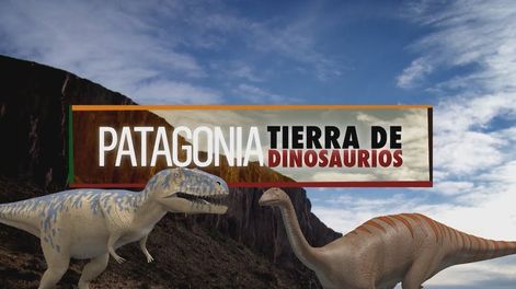 Los Andes | Z5AVJIGQK5BQZGV2P4ZIB5EOAY.jpg?quality=75&smart=true&auth=53eb9152e60e06a78b20bc78e308d861f8f0f2805d19d9c921e46cbb05bb0d71&width=980&height=640