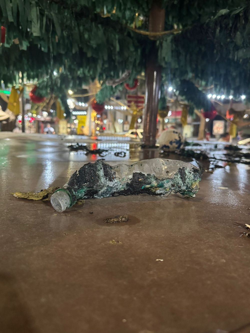 Tras el incendio del árbol navideño en la peatonal, el acusado, de 33 años, quedó detenido.