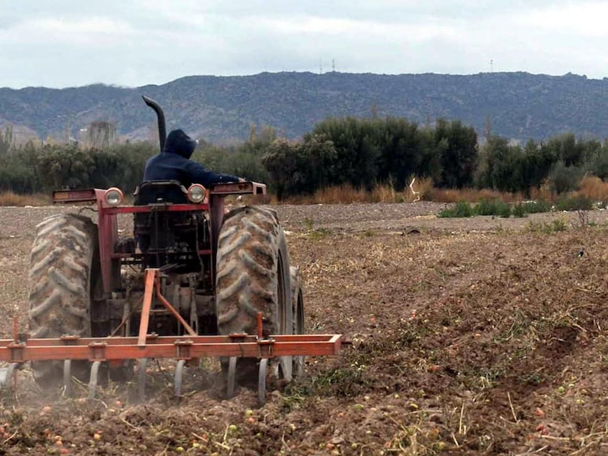 La productividad agrícola de Estados Unidos fija la tendencia global - Por Jorge Castro