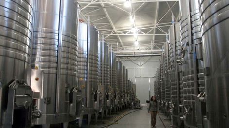 Aseguran que este año algunasbodegas pequeñas no van a elaborar por el precio de la energía