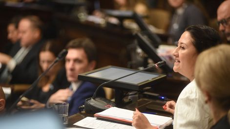 La presidenta de la Comisión de Minería sostuvo que el litio puede generar empleo y desarrollo para el sur provincial.