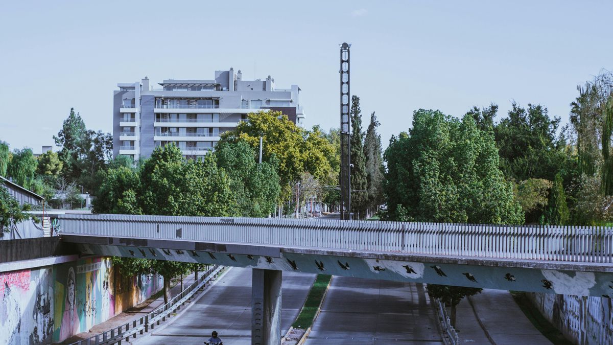 Suplemento Cuyo Construye: ya está disponible para descargar gratis