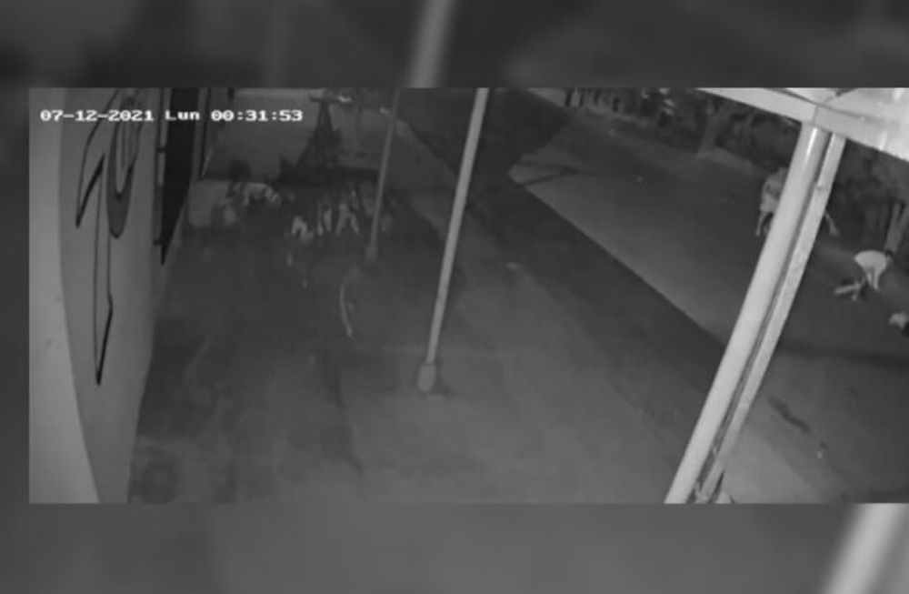 Imágenes de una cámara de seguridad