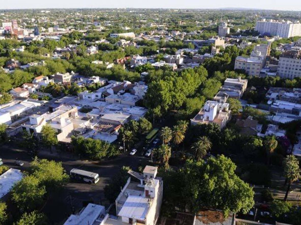 Sin contar los bosques nativos, hay 4 millones de árboles en Mendoza.