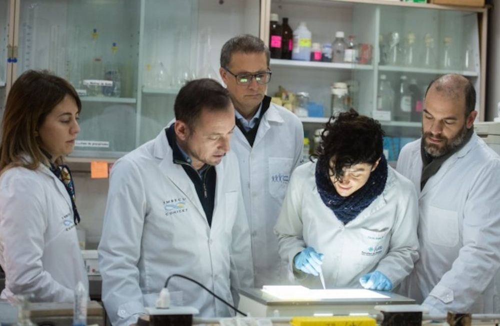 Avance clave para el desarrollo de una vacuna contra la leishmaniasis con aporte mendocino