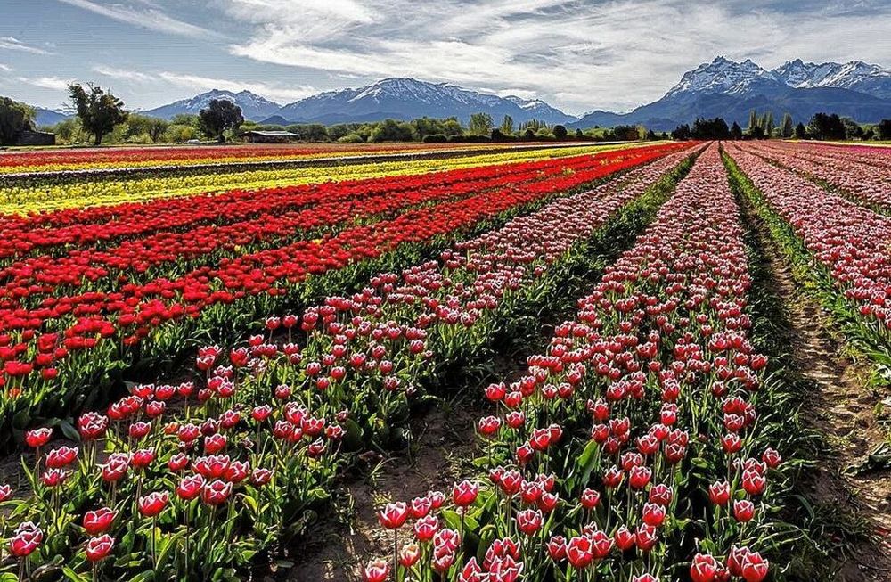 Trevelin el pueblo más lindo de la provincia de Chubut que podría convertirse en uno de los mejores del mundo