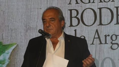 ¿Sobra producción?: la vitivinicultura ante un cambio de fondo - Por M. Soledad Gonzalez