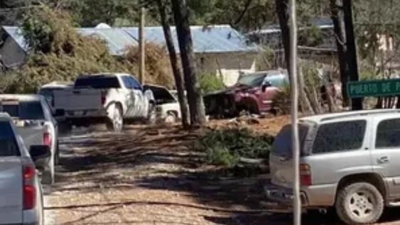 Las lluvias recurrentes ocasionaron el reblandecimiento de la tierra. Por ello, el árbol se desprendió fácilmente. Foto: Ernesto Torres / Facebook