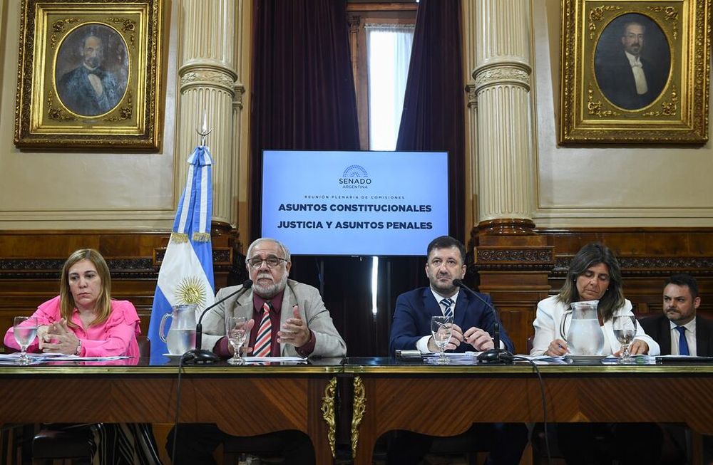 Los senadores Juan Carlos Pagotto y Edgardo Kueider, presidentes de las comisiones de Justicia y de Asuntos Constitucionales del Senado, encabezaron el debate sobre la boleta única (Foto: Comunicación Senado)